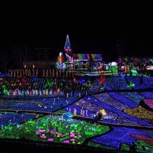 東京ドイツ村ウィンターイルミネーション